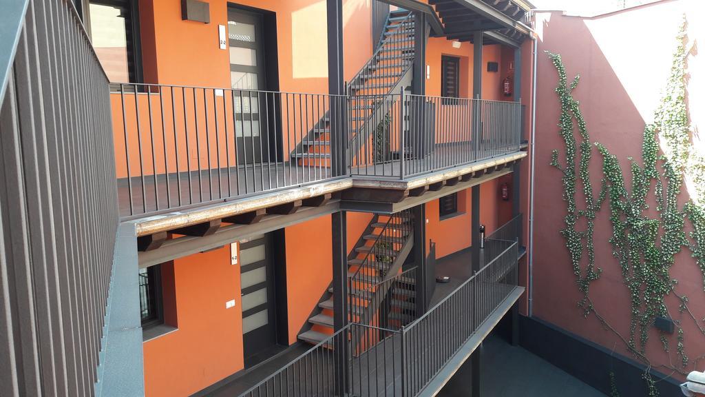 Apartaments Y Habitacions Entre Volcans 올로 외부 사진